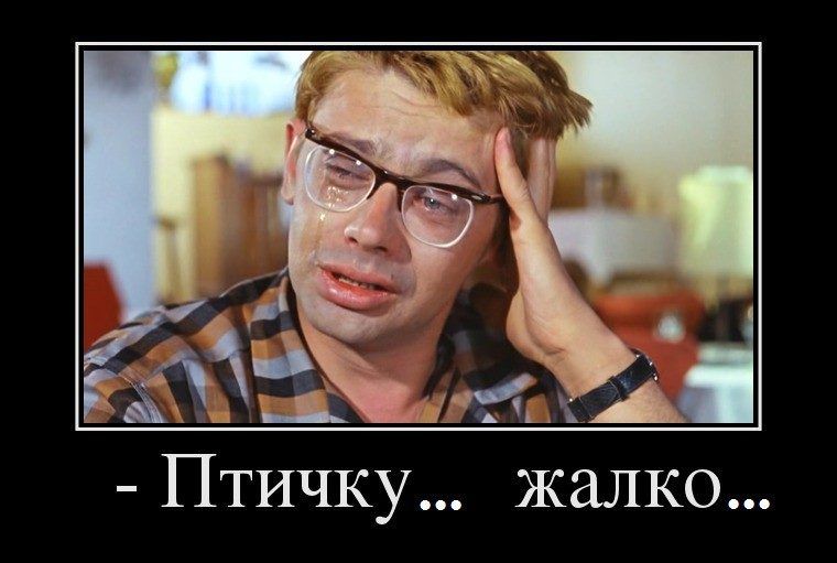 Птичку жалко
