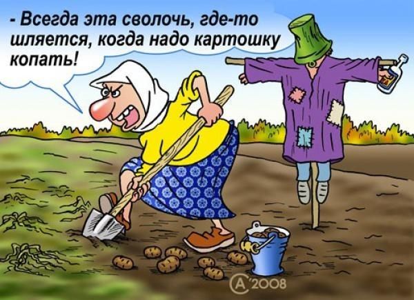 шляется ко копать