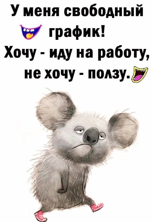 У меня свободный и график Хочу иду на работу не хочу подвид