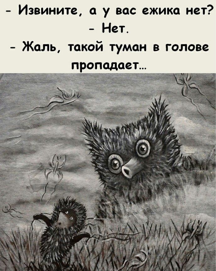 Извините у вас ежики нет Нет Жаль такой туман в голове пропадает