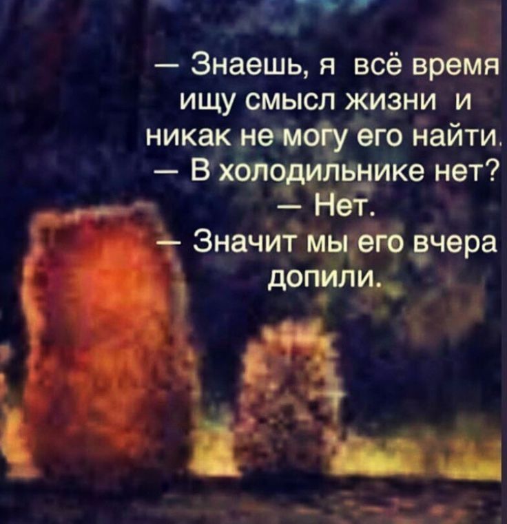 Знаешь я всё время ищу смысл жизни и никак _нем его найти В хол вцике нет Нет _ ЗНВЧИТ МЦЭГО ечера д допупли