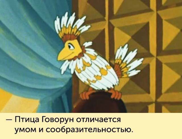 Птица Говорун отличается умом и сообразительностью