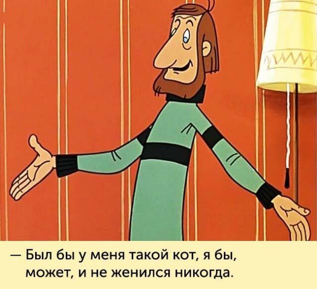 Был бы у меня такой кот я бы может и не женился никогда