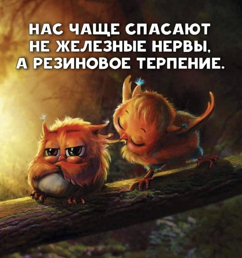 АС ЧАЩЕ СПАСАЮТ Е ЖЕЛЕЗНЫЕ НЕРВЫ