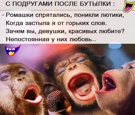 С ПОДРУГАМИ ПОСПЕ БУТЫПКИ Ромашки спрятались поникпи пютики Когда застыла от горьких слов Зачем вы девушки красивых любите Непостоянная у них любовь