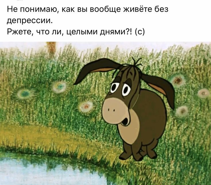Не понимаю как вы вообще живёте без депрессии Ржете что ли целыми днями с