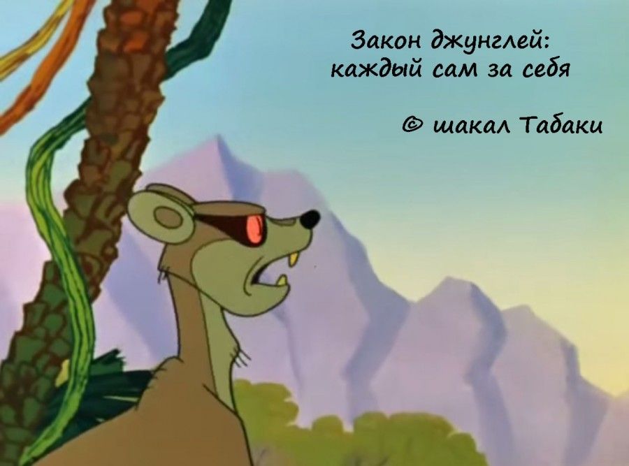 Заки джинаей каждый сам за идя шакал Табдки Ря