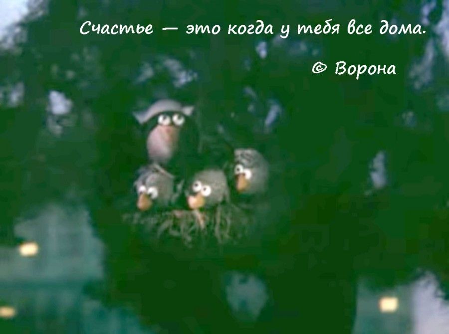 Симми микагдиётвбиш 130 срока Ё