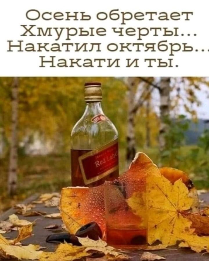 Осень обретает Хмурые черты Нанатил октябрь Накати и ты