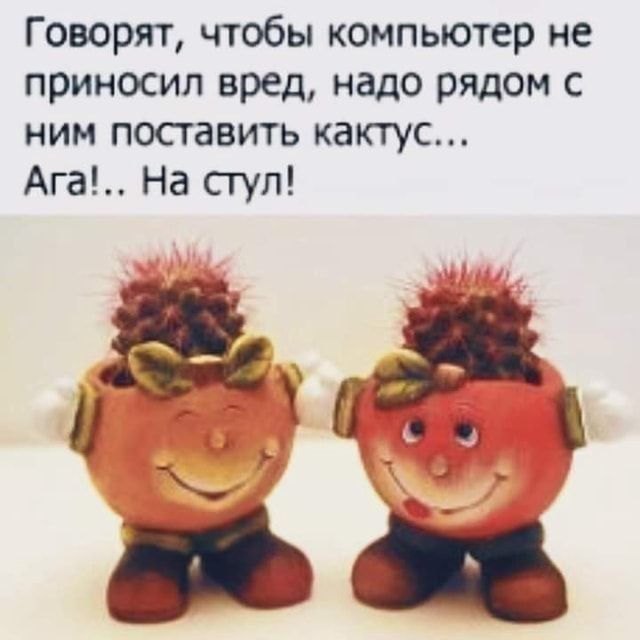 Говорят чтобы компьютер не приносил вред надо рядом с ним поставить кактус Ага На ступ