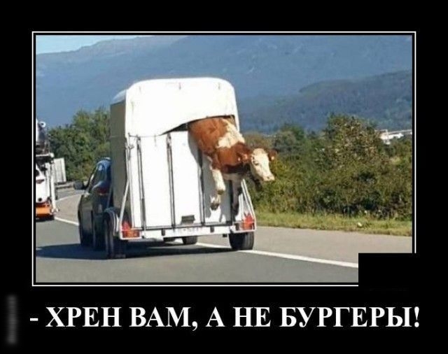 ХРЕН ВАМ А НЕ БУРГЕРЫ