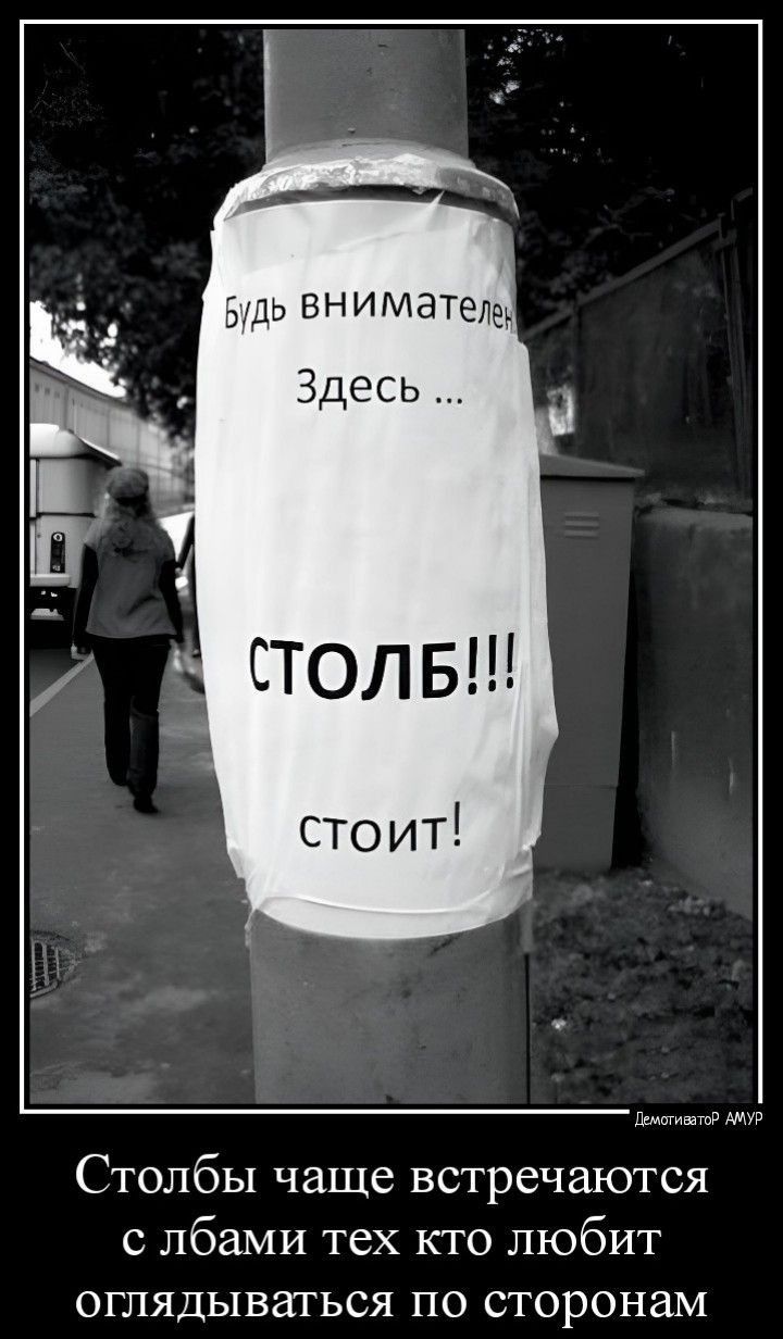 шт чип Столбы чаще встречаются лбами тех кто любит оглядываться по сторонам