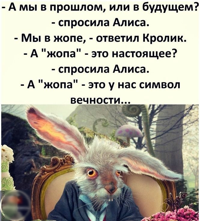 А мы в прошлом или в будущем спросила Алиса Мы в жопе ответил Кролик А жопа это настоящее спросила Алиса А жопа это у нас символ вечиости