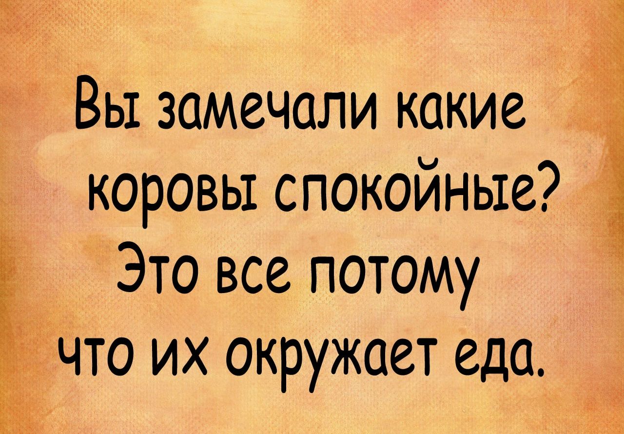 Вы замечали какие коровы спокойные Это все потому 7что их окружает еда _