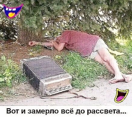 а и в с с 3 Р 0 д е с в 0 п Р е М а 3 и Т 0 в