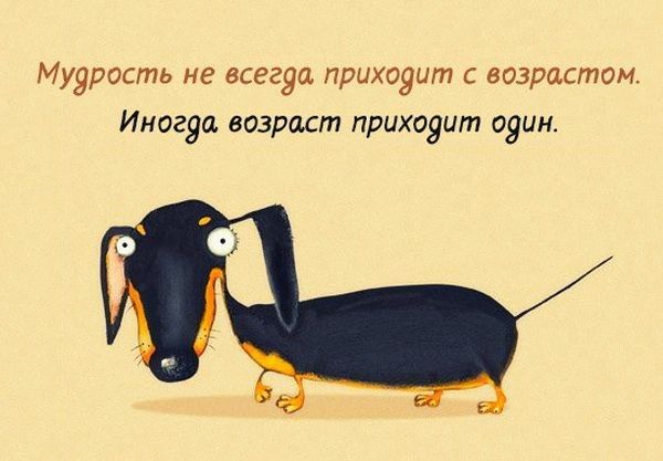 Муурость не всегда приходит с возрастом Иногда возраст приходит прим