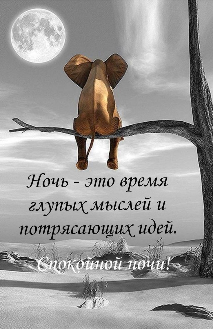 Ночь это время глупьюсмысмй и потрясающих идей