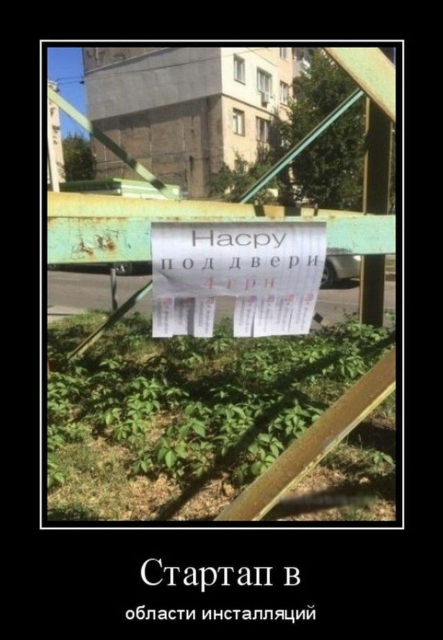 Стартап в области инсталпщий