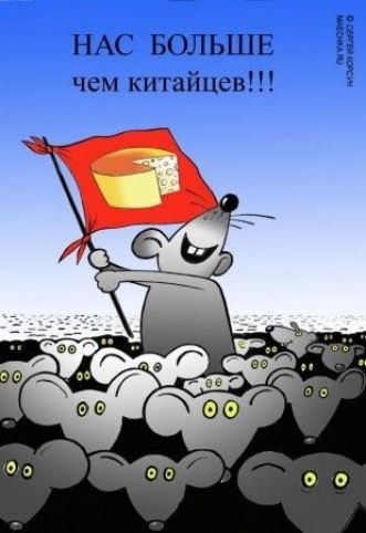 нм ЫЫЫ чем кипайпсв
