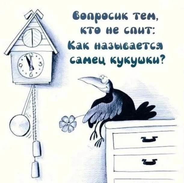 вопросик тем кто не спит Как называется самец кукушки