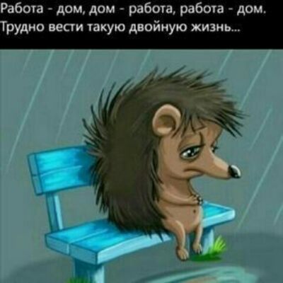 Работ дом дом работа рабочи дом рудно вест такую двойную жизнь