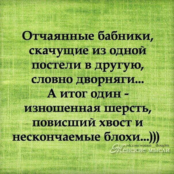 скачуіциё Из Ёодной постели в другую словно дворняги А итог один _ изношенная Шерстьр повисший хвост и нескончаемые блоёи _