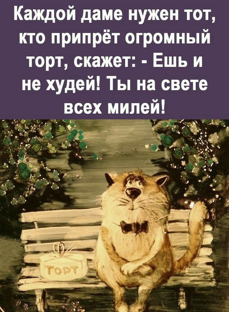 Каждой даме нужен тот кто припрёт огромный торт скажет Ешь и не худой Ты на свете всех милей_