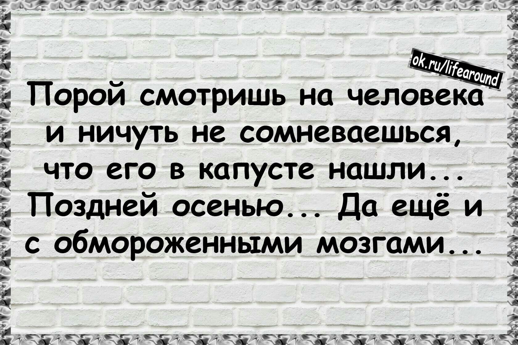 Порой смотришь на человека и ничуть не сомневаешься что его в капусте нашли Поздней осенью Да ещё и с обмороженными мозгами пп пп дг пгт и пч