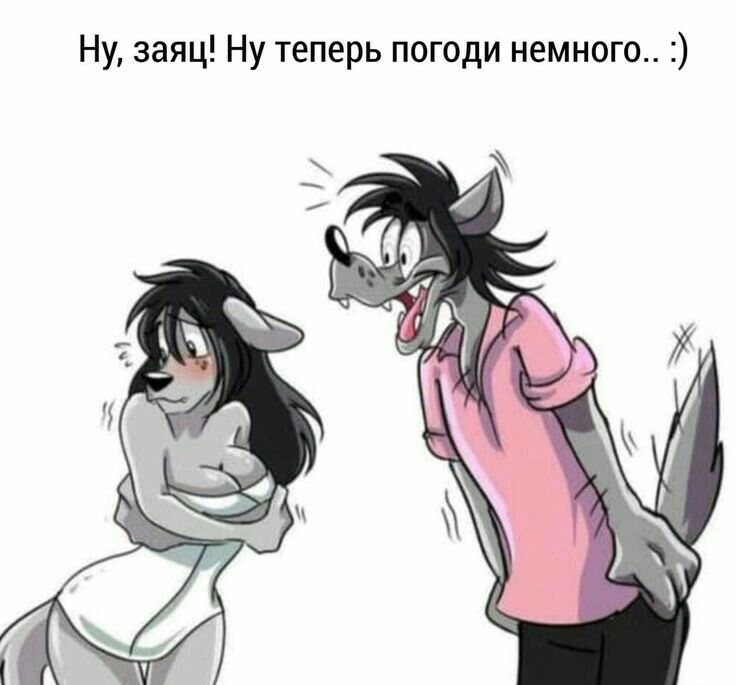 Ну заяц Ну теперь погоди немного