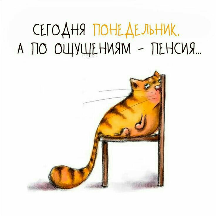 сьгоАня поньдыьник А по ощущьниям пьнсия
