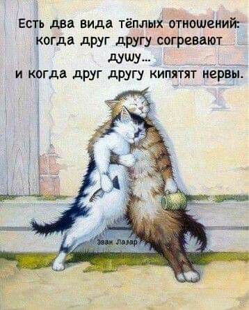 Есть два вида тёплых отиошеиийг Когда друг другу согревают душу _ ___ и когда дрУг другу кипятят нервы