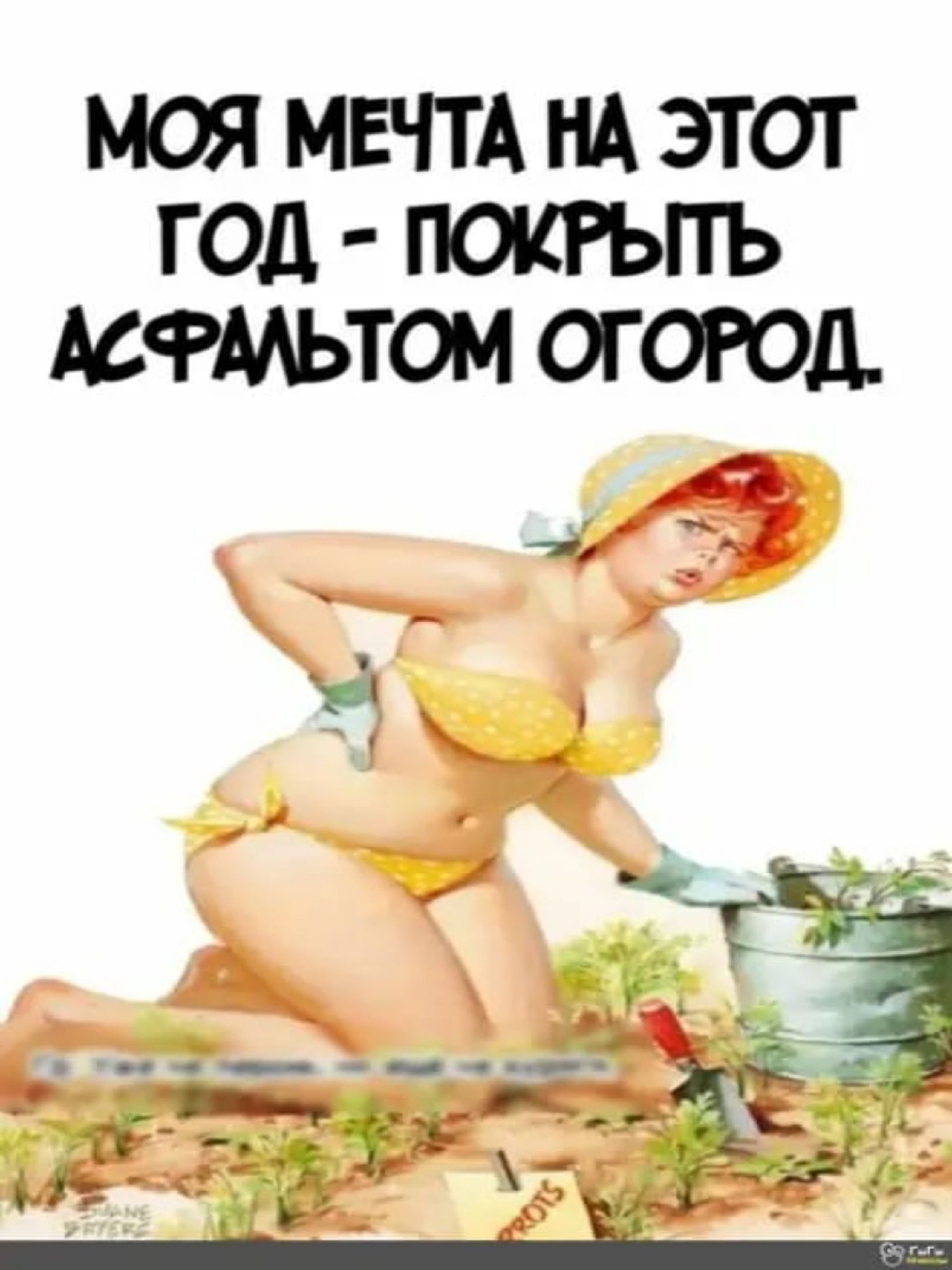 МОЯ МЕЧТА НА ЭТОТ ГОД ПОКРЬПЪ МФМЬТОМ ОГОРОД