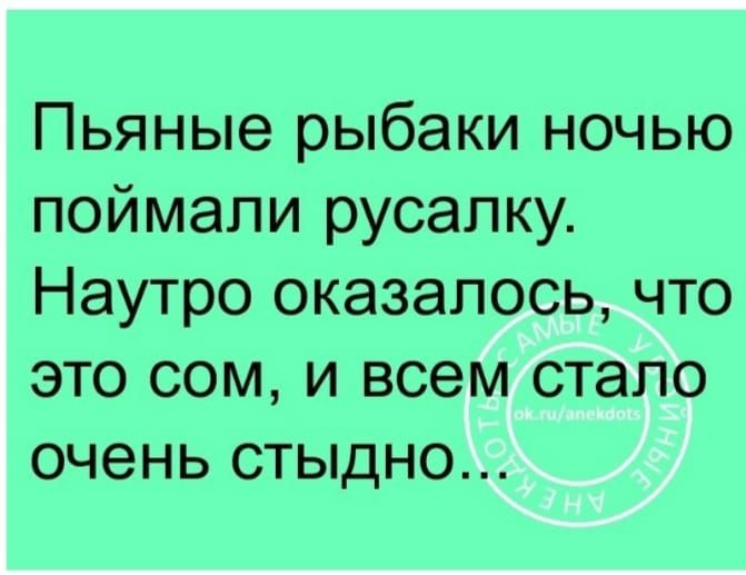 Пьяные рыбаки ночью поймали русалку Наутро оказалось что это сом и всем стало очень стыдно