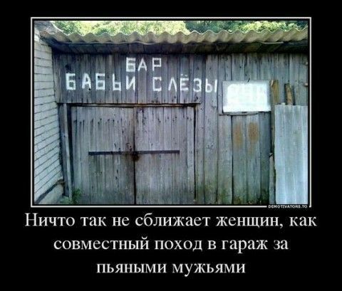 Ничто так Не сближает ЖСНЦШН как СОВМЕСТНЫЙ ПОХОД В гараж ПЬЯНЫМИ мужьями