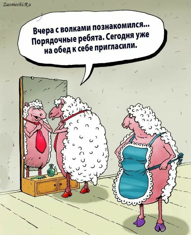 Вчера волками позиікомимя Порядочиые ребята Сегодня уже на обед к себе пригласили