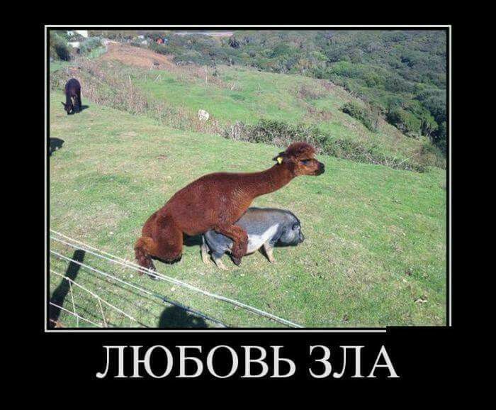 А Л 3 Ь В О __Б Ю _л
