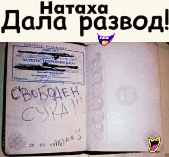 Натаха Дала развод