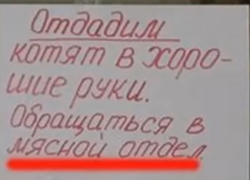 Отдадим КОЛЯЩ В худо ихс джа Щитж в так т