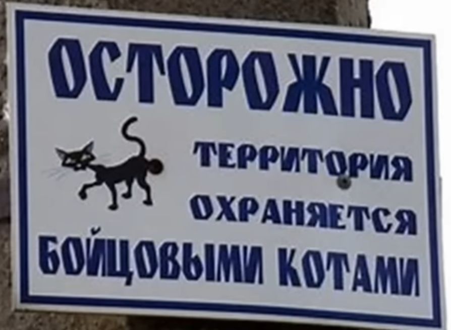 БоШовымш коими