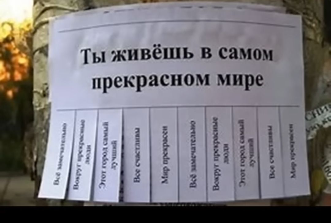 Ты живёшь в самом прекрасном мире