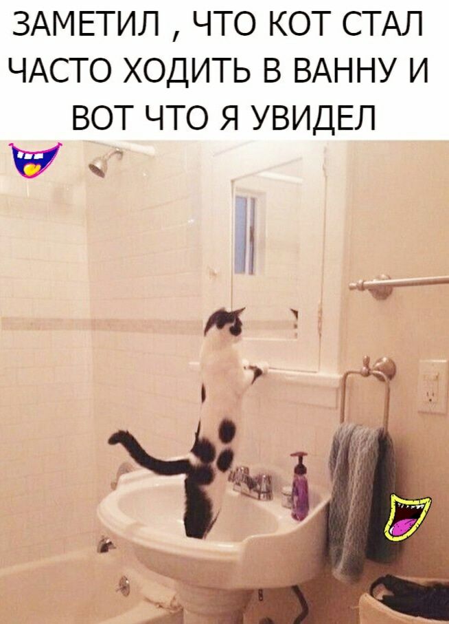 ЗАМЕТИЛ ЧТО КОТ СТАЛ ЧАСТО ХОДИТЬ В ВАННУ И ВОТ ЧТО Я УВИДЕЛ ЕУ