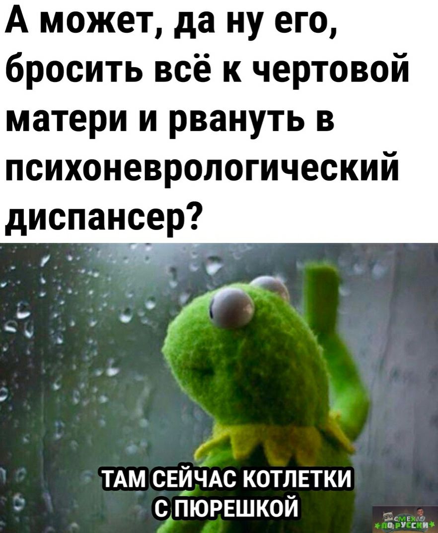 А может да ну его бросить всё к чертовой матери и рвануть в психоневрологический диспансер ТАМ СЕЙЧАС КОТЛЕТКИ С ПЮРЕШКОЙ