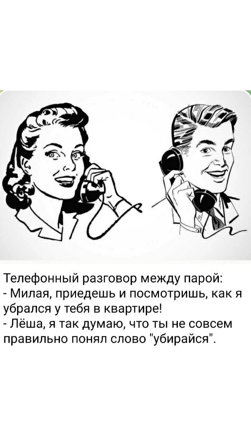 Телефонный разговор между парой Милая приедешь и посмотришь как я убрался у тебя в квартире Лёша я так думаю что ты не совсем правильно понял слово убирайся