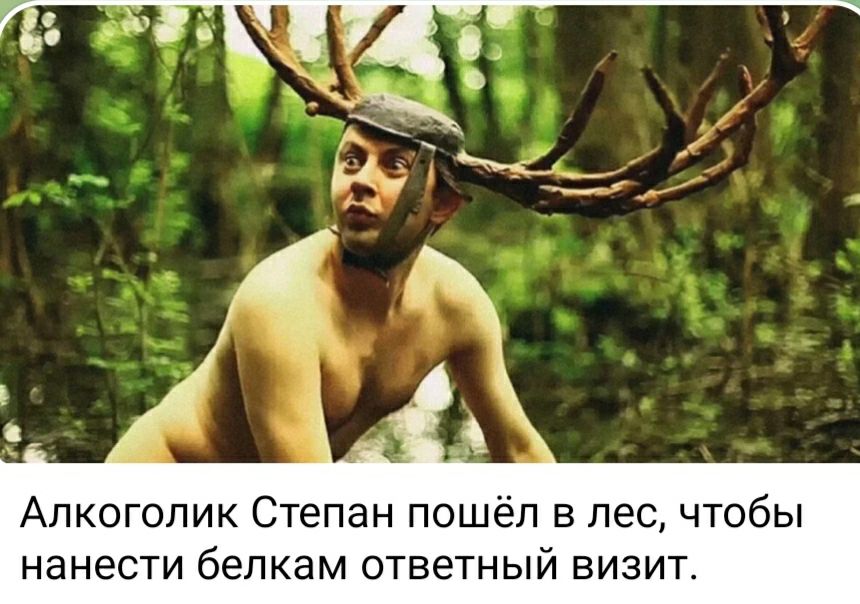 Алкоголик Степан пошёл в лес чтобы нанести белкам ответный визит