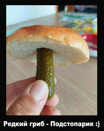 Редкий гриб Подстопарик
