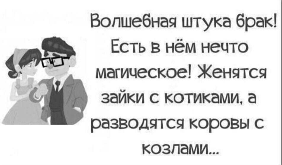 Волшебная штука брак Есть в нём нечто магическое Женятся зайки с котиками а разводятся коровы с козлами