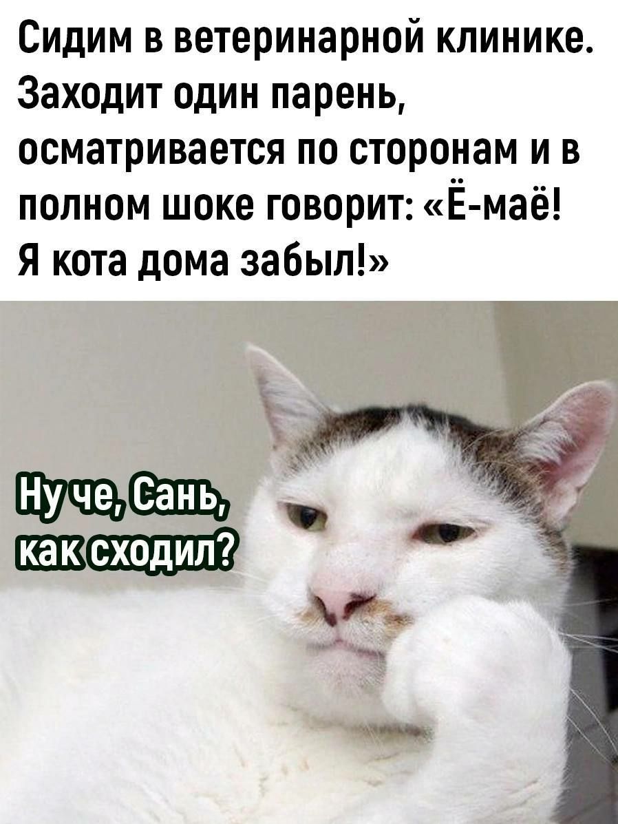 Сидим в ветеринарной клинике Заходит один парень осматривается по сторонам и в полном шоке говорит Ё маё я кота дома забыл