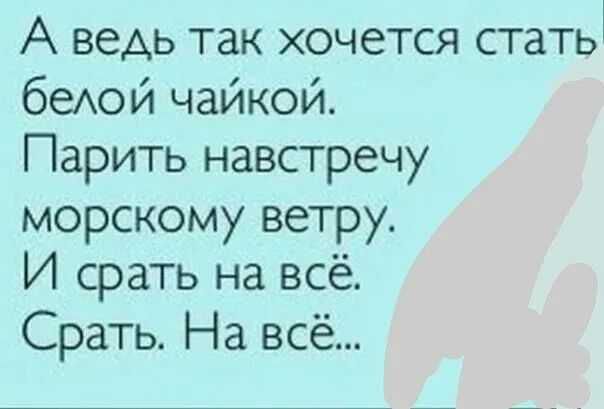 А ведь так хочется статы беАОЙ чайкой Парить навстречу морскому ветру И срать на всё Срать На всё