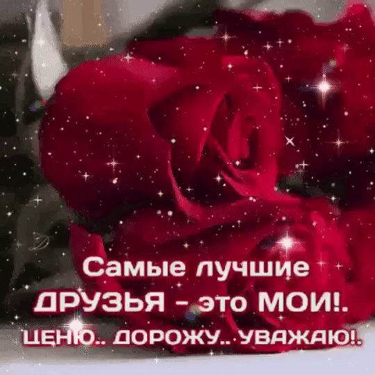 _ С_амые_ лучшие дрУзья это мот вывожу увдждю