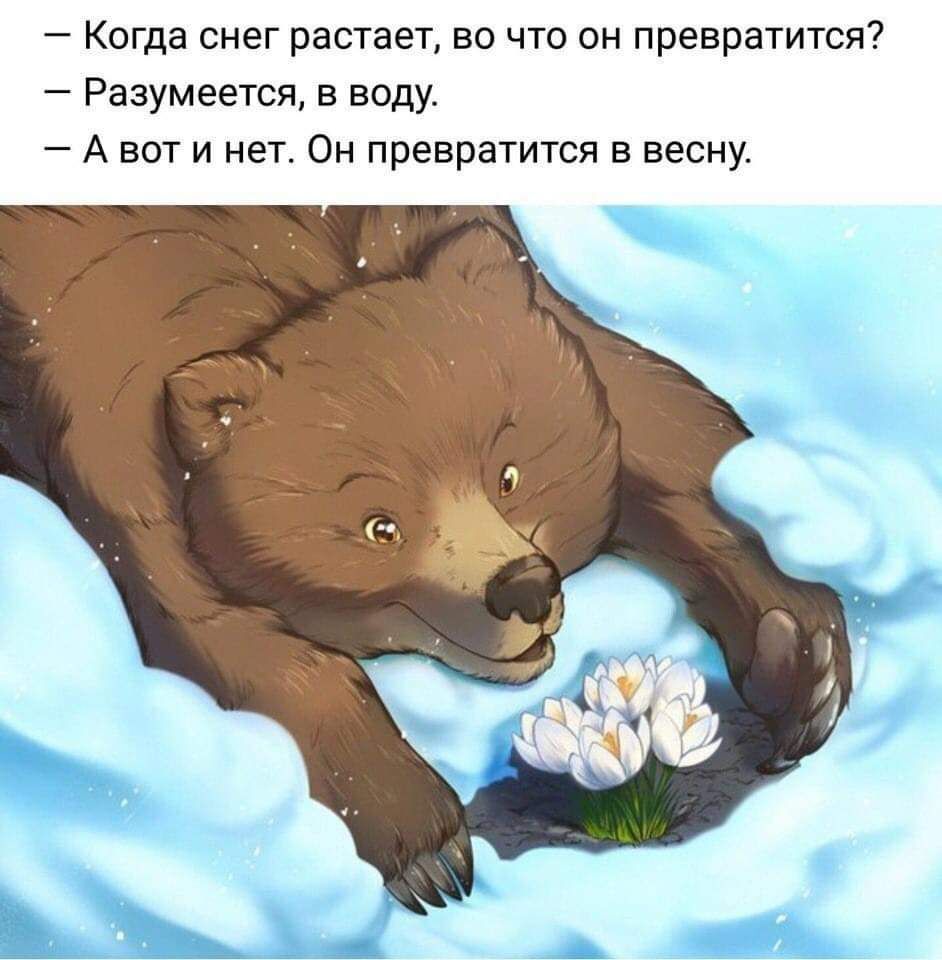 Когда снег растает во что он превратится Разумеется в воду А вот и нет Он превратится в весну